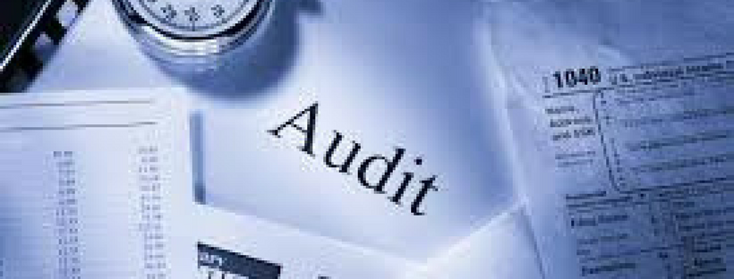 Audit Services India